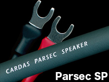 Parsec Speaker