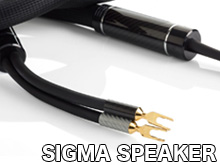 SIGMA SPEAKER CABLE