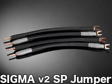 SIGMA v2 SPEAKER JUMPER CABLE